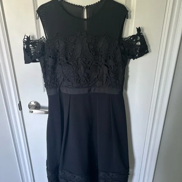 Ted Baker Structured Dress with Lace detailing - Picture 5 of 6